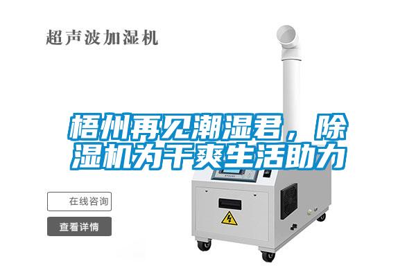梧州再見潮濕君，除濕機為干爽生活助力