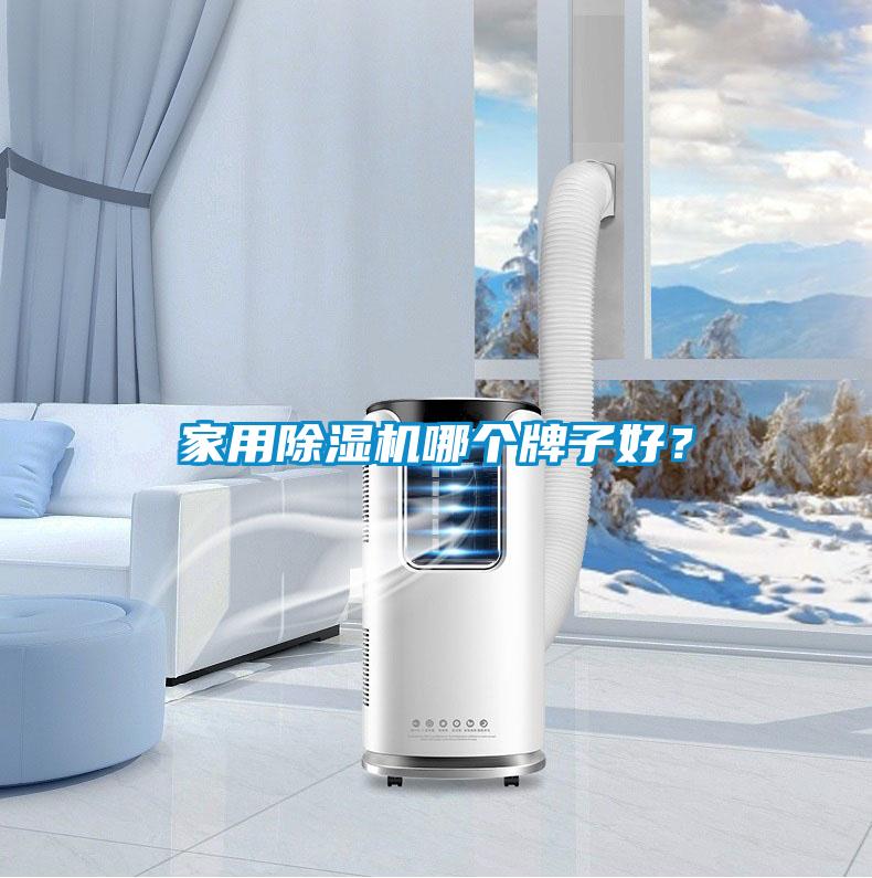 家用除濕機哪個牌子好？