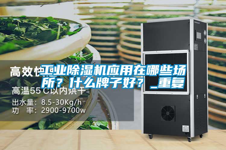 工業(yè)除濕機(jī)應(yīng)用在哪些場(chǎng)所？什么牌子好？_重復(fù)