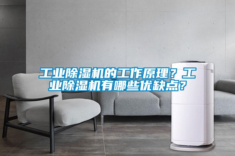 工業(yè)除濕機的工作原理？工業(yè)除濕機有哪些優(yōu)缺點？