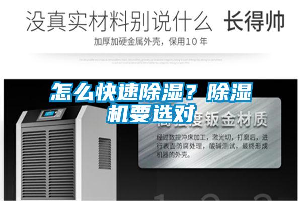 怎么快速除濕？除濕機要選對