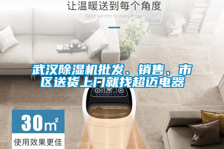 武漢除濕機(jī)批發(fā)、銷售、市區(qū)送貨上門就找超邁電器
