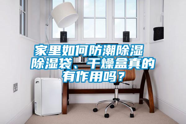 家里如何防潮除濕 除濕袋、干燥盒真的有作用嗎？