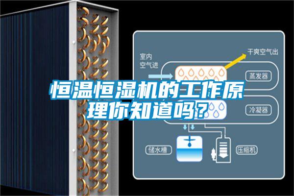 恒溫恒濕機的工作原理你知道嗎？
