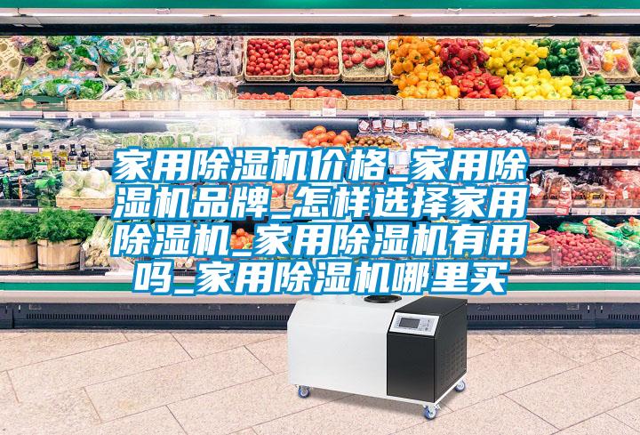 家用除濕機(jī)價格_家用除濕機(jī)品牌_怎樣選擇家用除濕機(jī)_家用除濕機(jī)有用嗎_家用除濕機(jī)哪里買