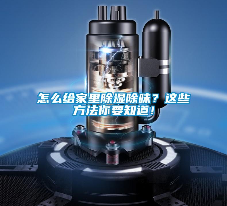 怎么給家里除濕除味？這些方法你要知道！