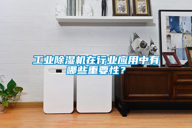 工業(yè)除濕機在行業(yè)應(yīng)用中有哪些重要性？