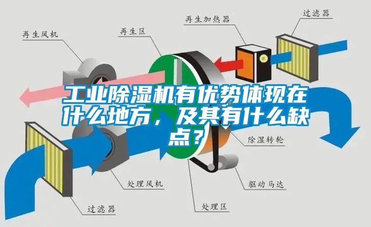 工業(yè)除濕機(jī)有優(yōu)勢(shì)體現(xiàn)在什么地方，及其有什么缺點(diǎn)？