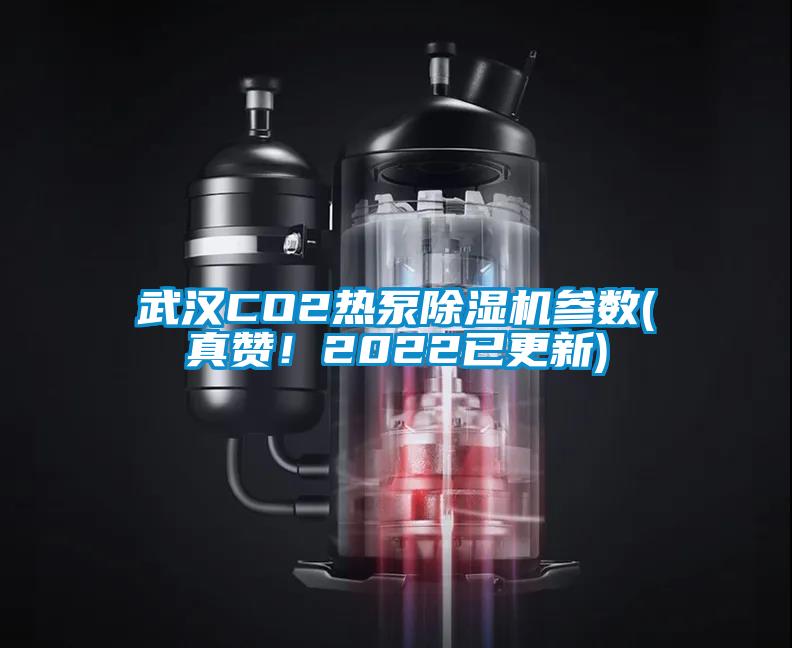 武漢CO2熱泵除濕機(jī)參數(shù)(真贊！2022已更新)