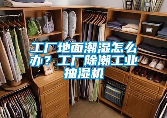 工廠地面潮濕怎么辦？工廠除潮工業(yè)抽濕機(jī)