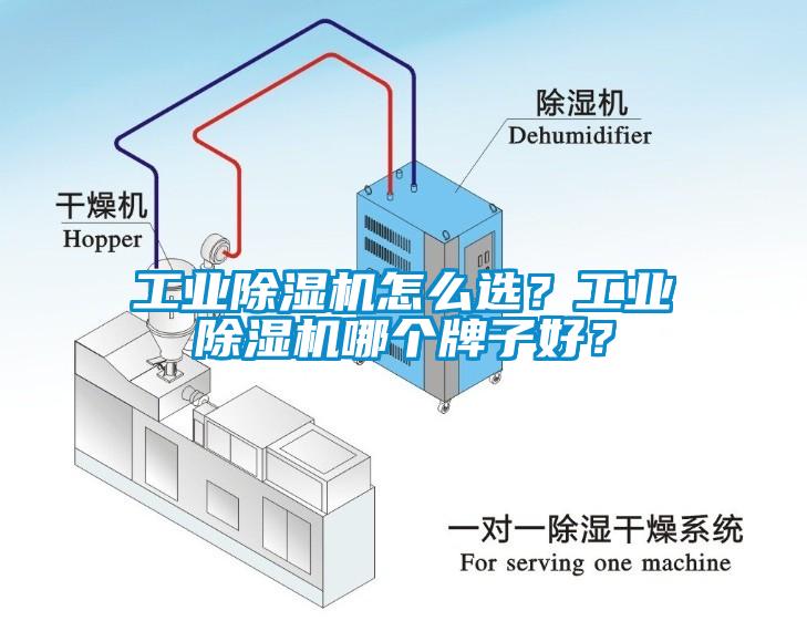 工業(yè)除濕機怎么選？工業(yè)除濕機哪個牌子好？