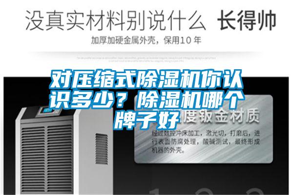 對壓縮式除濕機你認識多少？除濕機哪個牌子好
