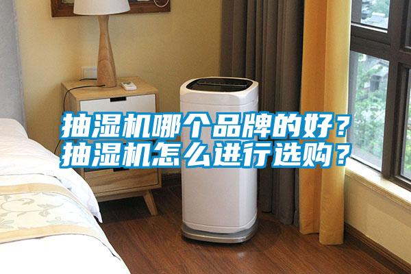 抽濕機哪個品牌的好？抽濕機怎么進行選購？