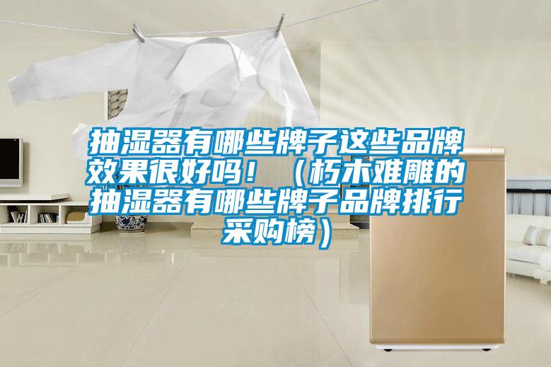 抽濕器有哪些牌子這些品牌效果很好嗎?。ㄐ嗄倦y雕的抽濕器有哪些牌子品牌排行采購榜）