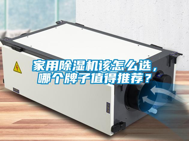 家用除濕機該怎么選，哪個牌子值得推薦？
