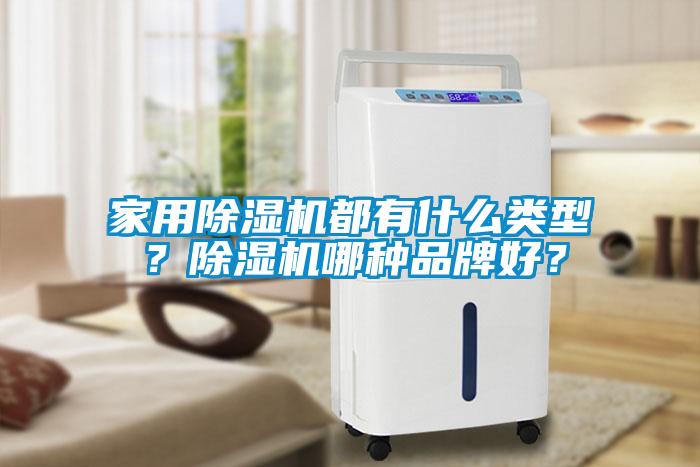 家用除濕機(jī)都有什么類(lèi)型？除濕機(jī)哪種品牌好？
