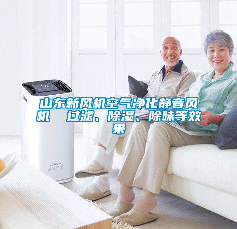 山東新風(fēng)機(jī)空氣凈化靜音風(fēng)機(jī)  過濾、除濕、除味等效果