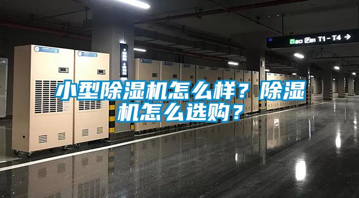 小型除濕機怎么樣？除濕機怎么選購？