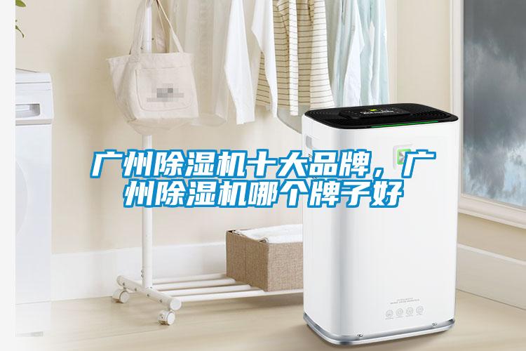 廣州除濕機(jī)十大品牌，廣州除濕機(jī)哪個(gè)牌子好