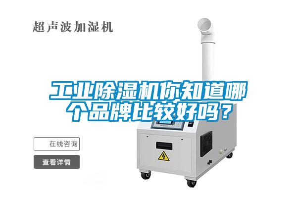 工業(yè)除濕機(jī)你知道哪個(gè)品牌比較好嗎？