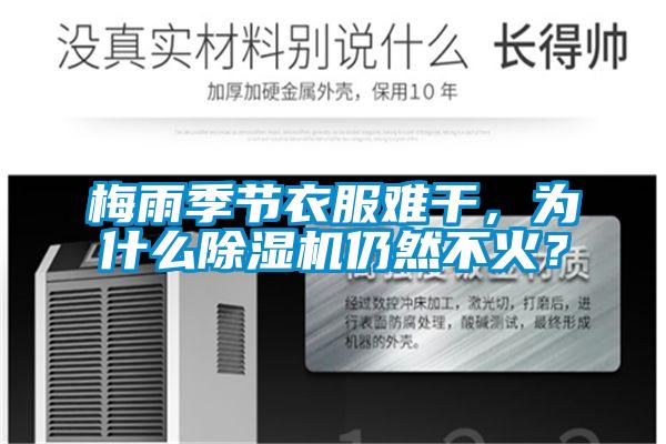 梅雨季節(jié)衣服難干，為什么除濕機(jī)仍然不火？