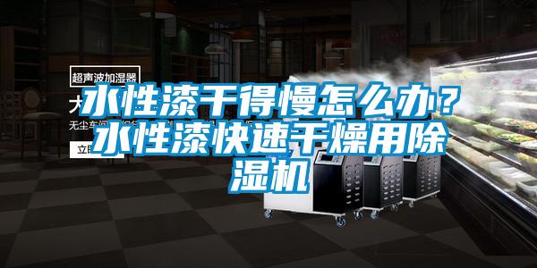 水性漆干得慢怎么辦？水性漆快速干燥用除濕機(jī)
