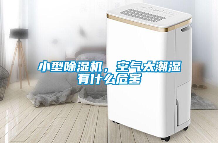 小型除濕機(jī)，空氣太潮濕有什么危害