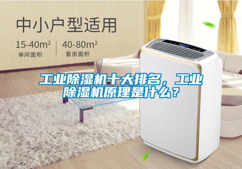工業(yè)除濕機(jī)十大排名，工業(yè)除濕機(jī)原理是什么？