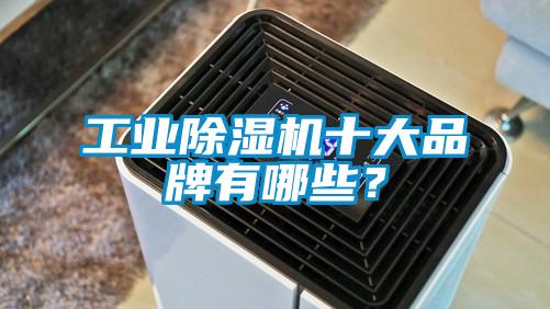 工業(yè)除濕機(jī)十大品牌有哪些？