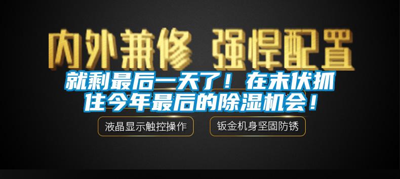 就剩最后一天了！在末伏抓住今年最后的除濕機(jī)會！
