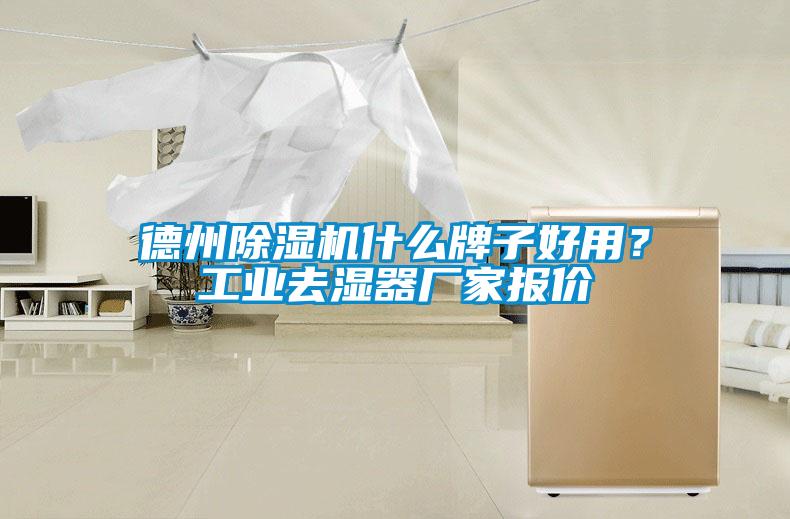 德州除濕機(jī)什么牌子好用？工業(yè)去濕器廠家報價