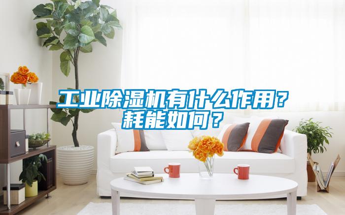 工業(yè)除濕機(jī)有什么作用？耗能如何？