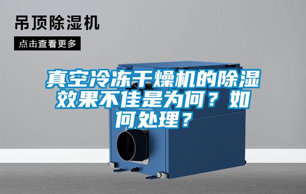 真空冷凍干燥機(jī)的除濕效果不佳是為何？如何處理？