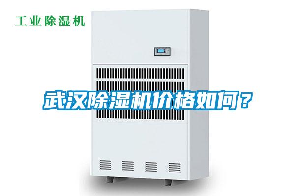 武漢除濕機價格如何？