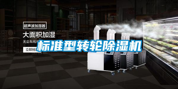 標(biāo)準型轉(zhuǎn)輪除濕機