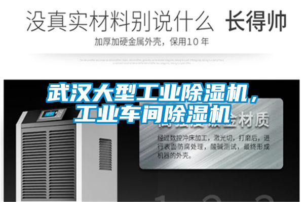 武漢大型工業(yè)除濕機，工業(yè)車間除濕機