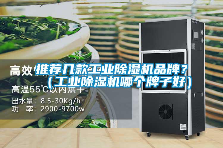 推薦幾款工業(yè)除濕機(jī)品牌？（工業(yè)除濕機(jī)哪個(gè)牌子好）