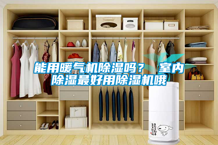 能用暖氣機除濕嗎？ 室內(nèi)除濕最好用除濕機哦