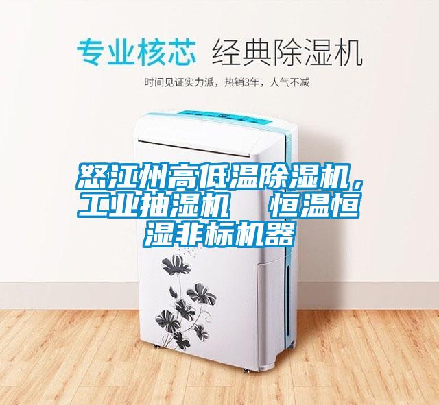 怒江州高低溫除濕機，工業(yè)抽濕機  恒溫恒濕非標機器