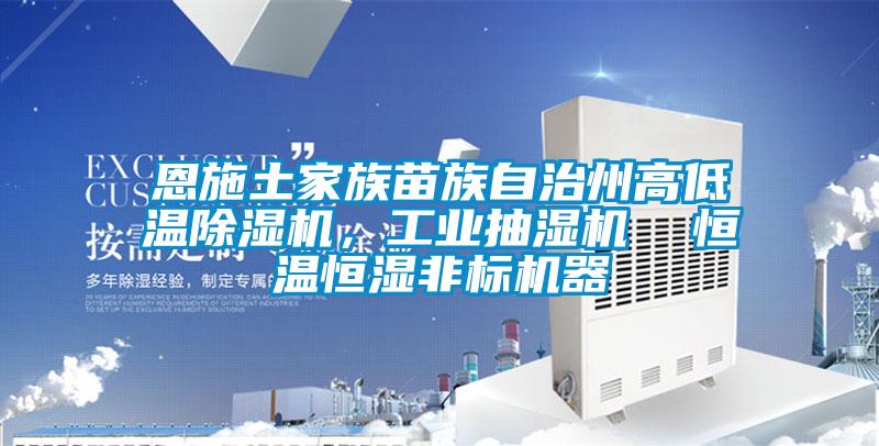 恩施土家族苗族自治州高低溫除濕機(jī)，工業(yè)抽濕機(jī)  恒溫恒濕非標(biāo)機(jī)器
