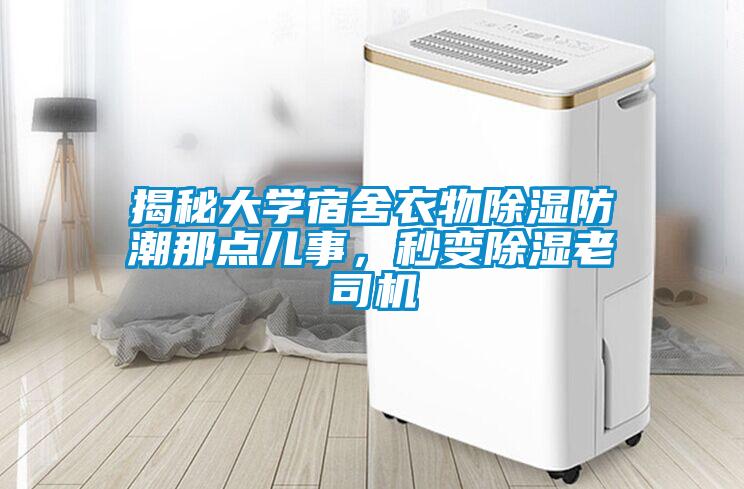 揭秘大學(xué)宿舍衣物除濕防潮那點(diǎn)兒事，秒變除濕老司機(jī)