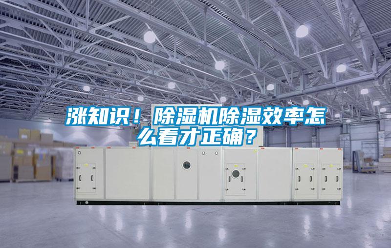 漲知識！除濕機除濕效率怎么看才正確？