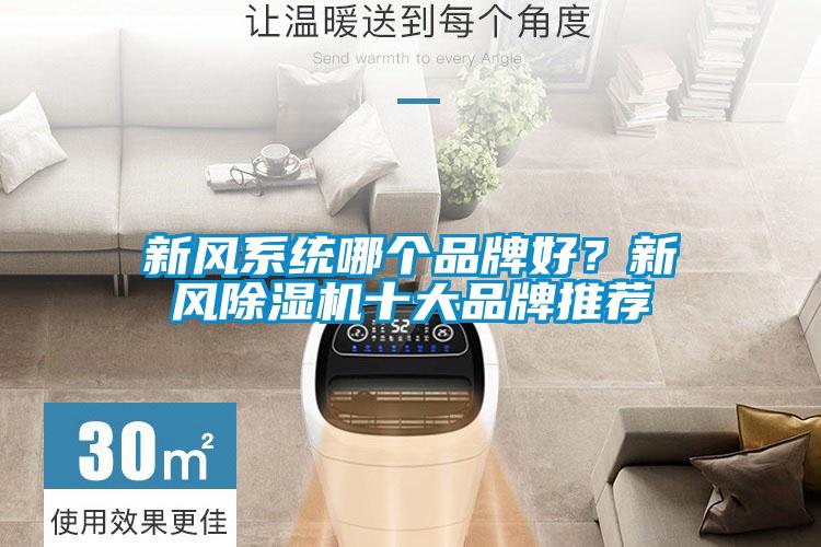 新風系統(tǒng)哪個品牌好？新風除濕機十大品牌推薦