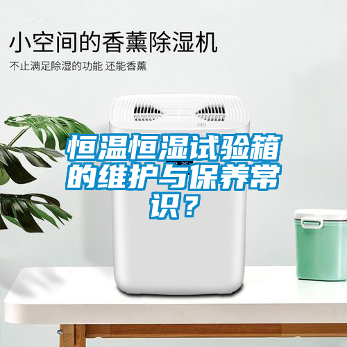 恒溫恒濕試驗箱的維護與保養(yǎng)常識？