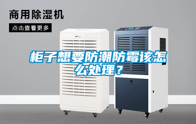 柜子想要防潮防霉該怎么處理？