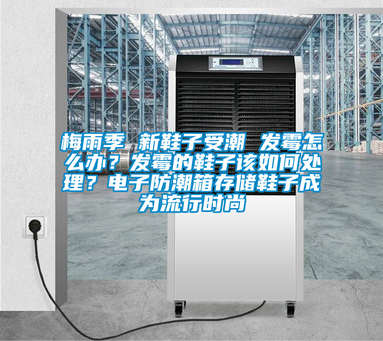 梅雨季 新鞋子受潮 發(fā)霉怎么辦？發(fā)霉的鞋子該如何處理？電子防潮箱存儲鞋子成為流行時尚