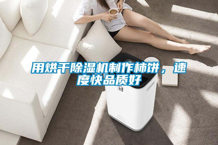 用烘干除濕機(jī)制作柿餅，速度快品質(zhì)好