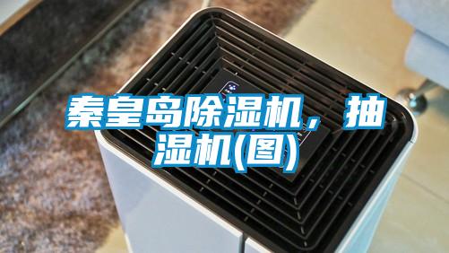 秦皇島除濕機(jī)，抽濕機(jī)(圖)