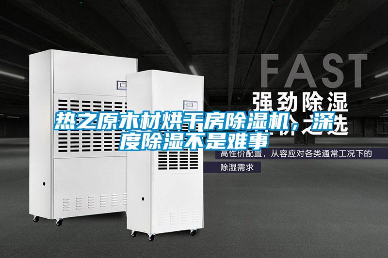 熱之原木材烘干房除濕機(jī)，深度除濕不是難事
