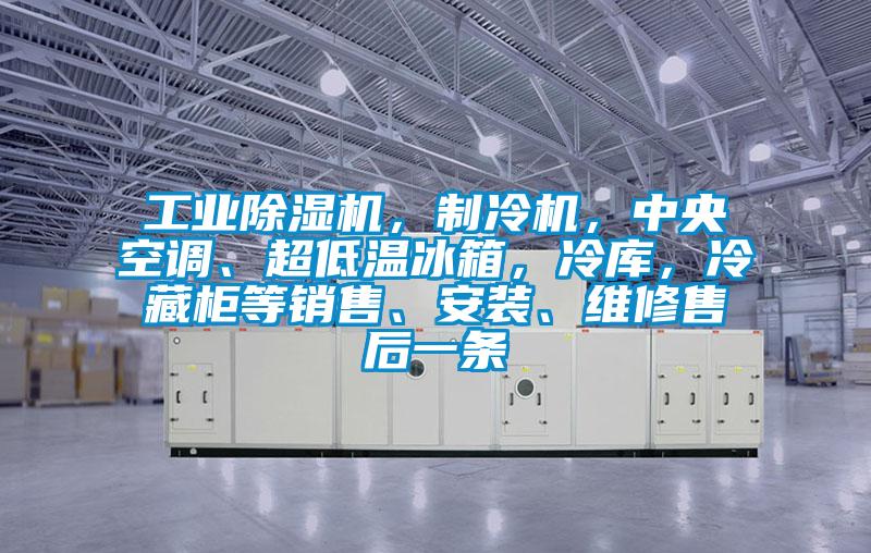 工業(yè)除濕機(jī)，制冷機(jī)，中央空調(diào)、超低溫冰箱，冷庫，冷藏柜等銷售、安裝、維修售后一條